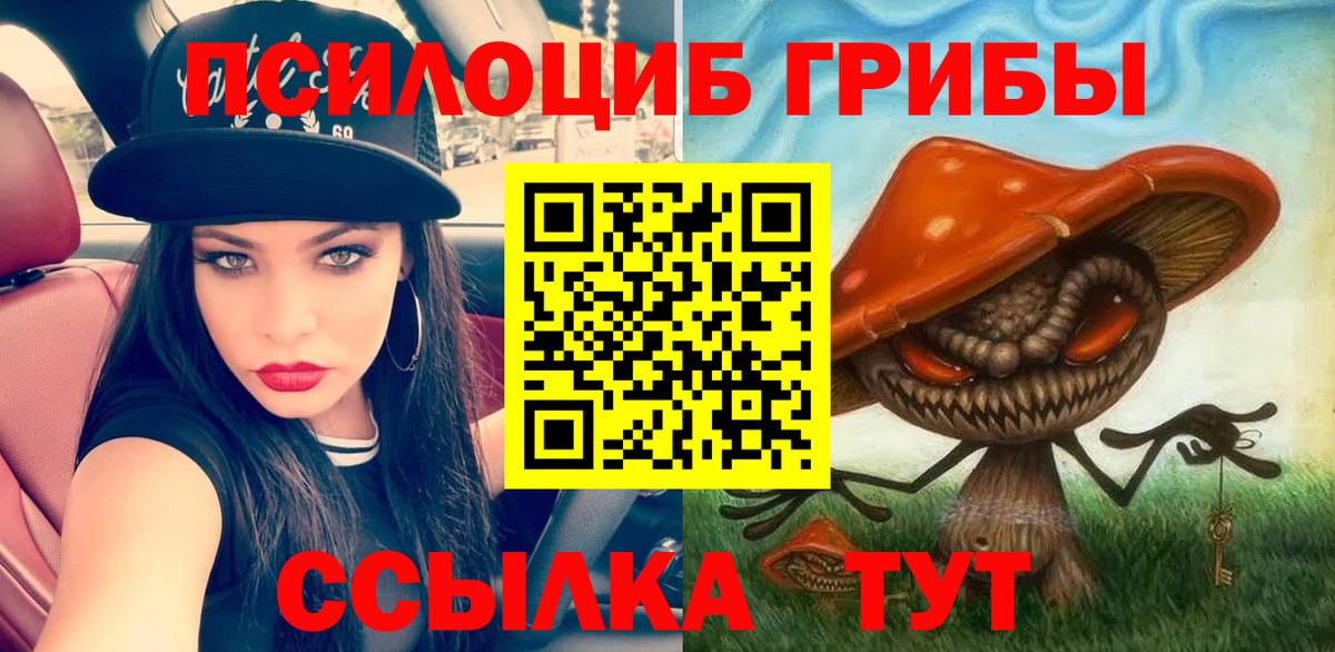 Галлюциногенные грибы Psilocybine cubensis Каменск-Уральский